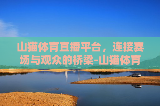 山猫体育直播平台，连接赛场与观众的桥梁-山猫体育直播平台高清