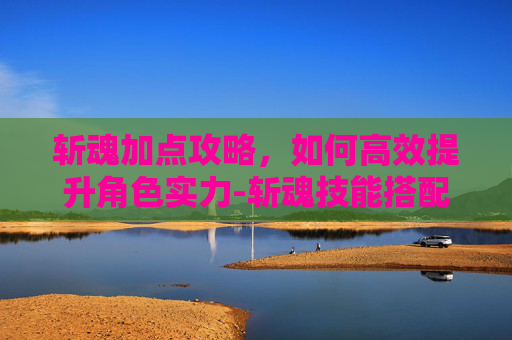 斩魂加点攻略，如何高效提升角色实力-斩魂技能搭配