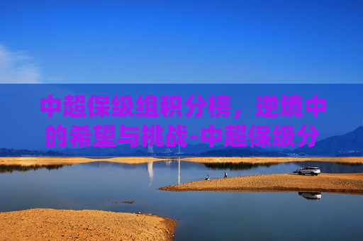 中超保级组积分榜，逆境中的希望与挑战-中超保级分数