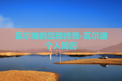 瓦尔迪的足球传奇-瓦尔迪个人简历