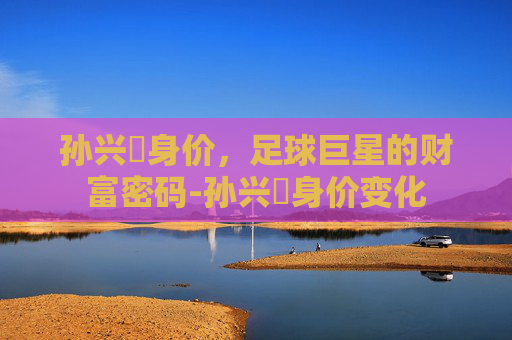 孙兴慜身价，足球巨星的财富密码-孙兴慜身价变化