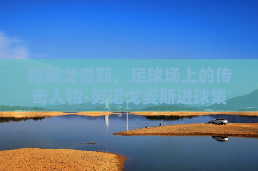 努诺戈麦斯，足球场上的传奇人物-努诺戈麦斯进球集锦