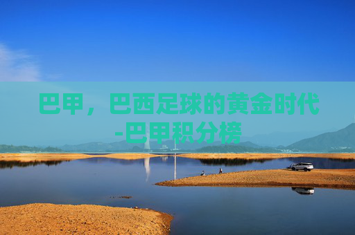 巴甲，巴西足球的黄金时代-巴甲积分榜