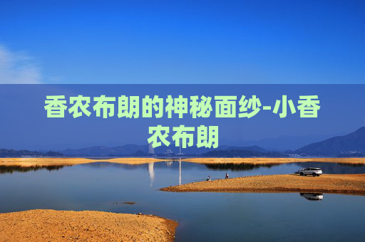 香农布朗的神秘面纱-小香农布朗