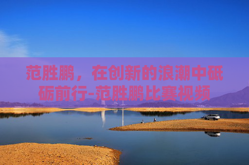 范胜鹏，在创新的浪潮中砥砺前行-范胜鹏比赛视频