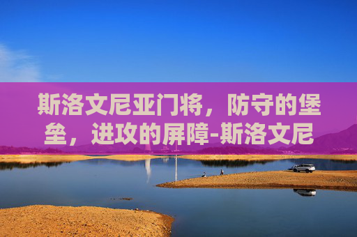 斯洛文尼亚门将，防守的堡垒，进攻的屏障-斯洛文尼亚 门将