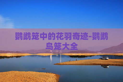 鹦鹉笼中的花羽奇迹-鹦鹉鸟笼大全