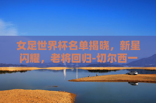 女足世界杯名单揭晓，新星闪耀，老将回归-切尔西一双多少钱